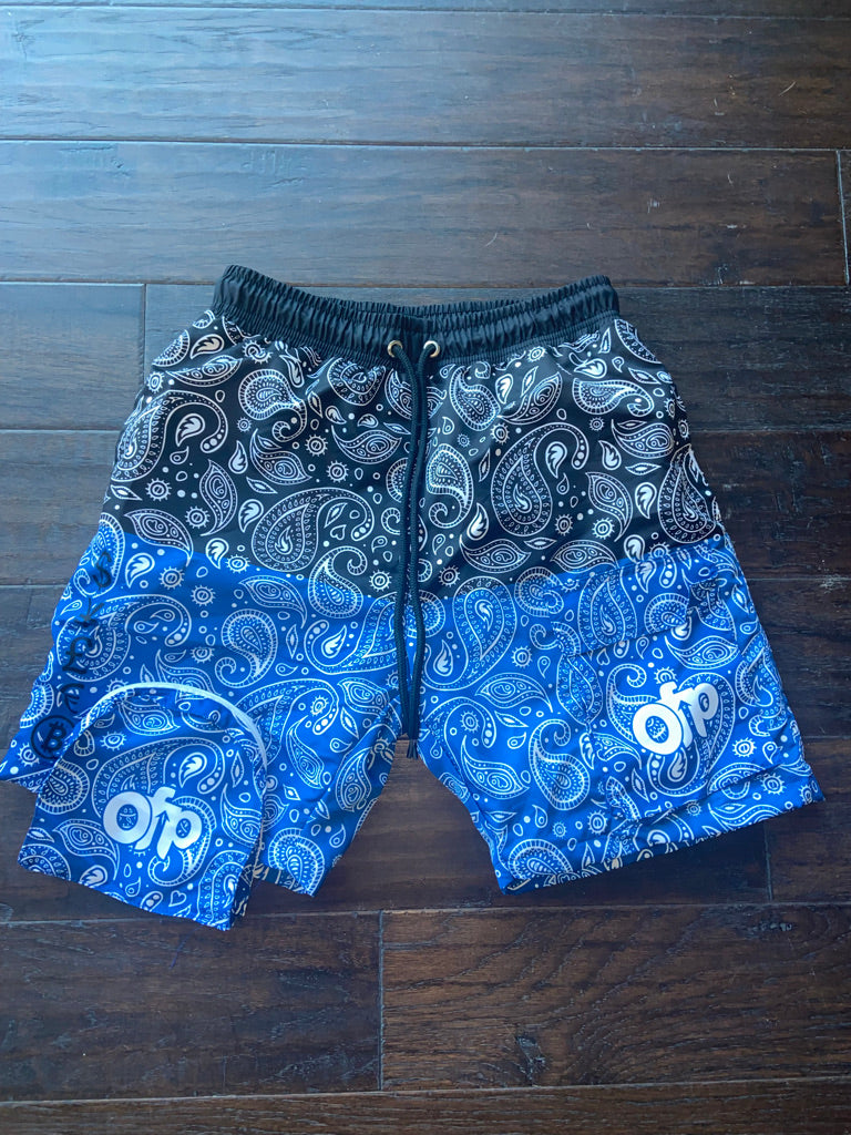 Two Tone Paisley Shorts