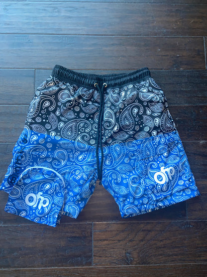 Two Tone Paisley Shorts